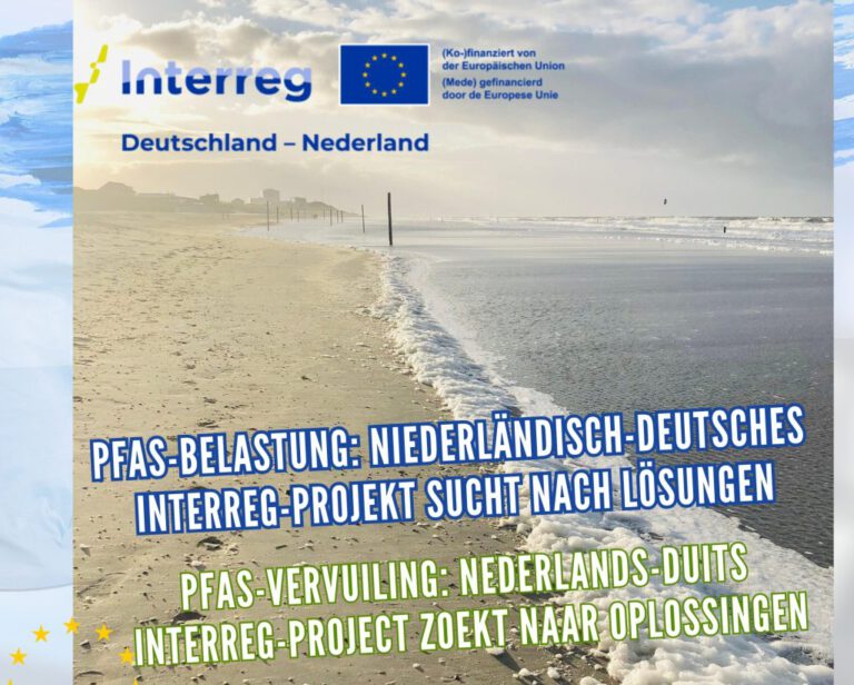 Strand. Interreg-Logo. Titel des dazugehörigen Artikels.